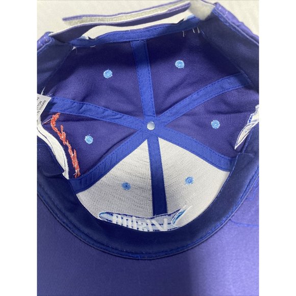 Visine Racing Matt Kenseth #17 Blue Strapback Hat - New - Picture 5 of 5